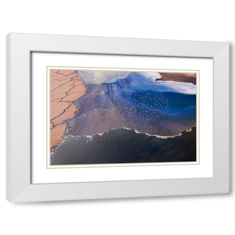 The flower White Modern Wood Framed Art Print with Double Matting by Chang, Phillip