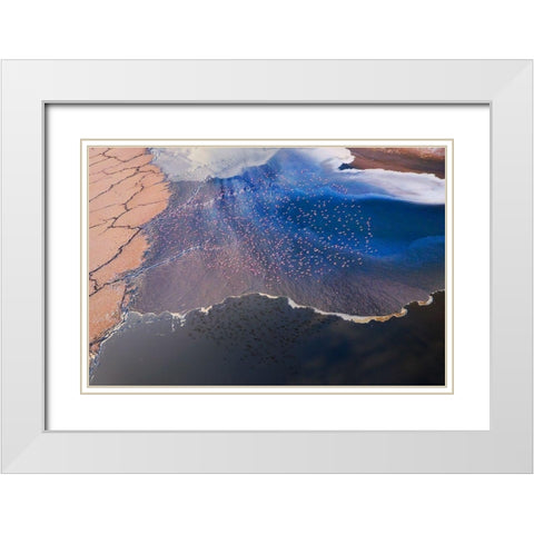 The flower White Modern Wood Framed Art Print with Double Matting by Chang, Phillip