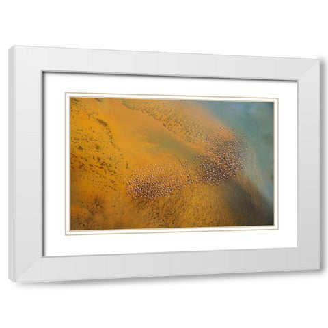 The footprint White Modern Wood Framed Art Print with Double Matting by Chang, Phillip