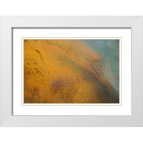 The footprint White Modern Wood Framed Art Print with Double Matting by Chang, Phillip