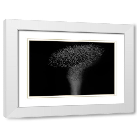 The question mark White Modern Wood Framed Art Print with Double Matting by Chang, Phillip