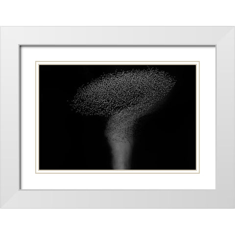 The question mark White Modern Wood Framed Art Print with Double Matting by Chang, Phillip