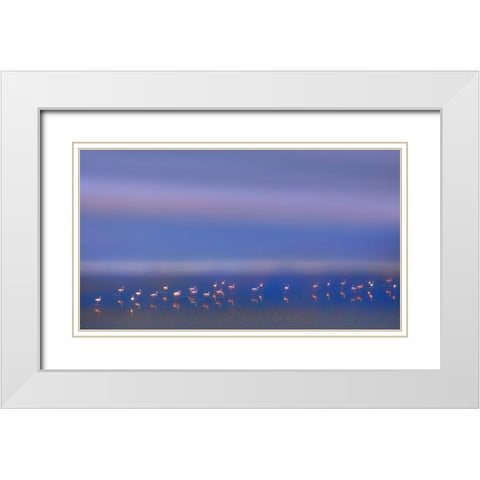 Early Morning White Modern Wood Framed Art Print with Double Matting by Chang, Phillip
