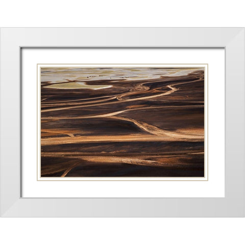 The wild White Modern Wood Framed Art Print with Double Matting by Chang, Phillip