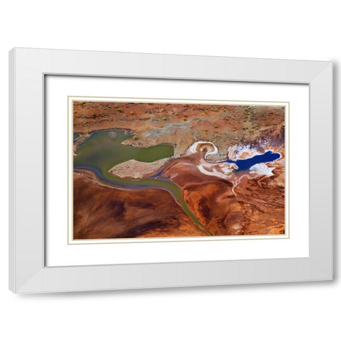 The Beautiful Colors White Modern Wood Framed Art Print with Double Matting by Chang, Phillip