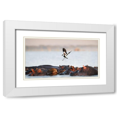 The Hippo White Modern Wood Framed Art Print with Double Matting by Chang, Phillip