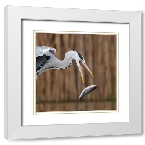 Escape White Modern Wood Framed Art Print with Double Matting by Chang, Phillip