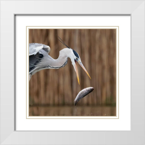 Escape White Modern Wood Framed Art Print with Double Matting by Chang, Phillip