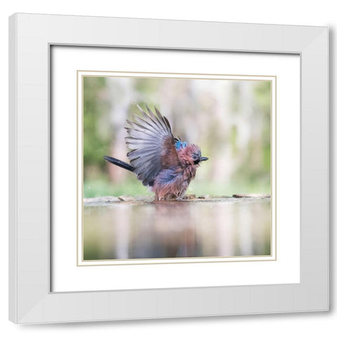 Summer day White Modern Wood Framed Art Print with Double Matting by Chang, Phillip