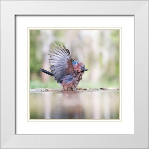 Summer day White Modern Wood Framed Art Print with Double Matting by Chang, Phillip