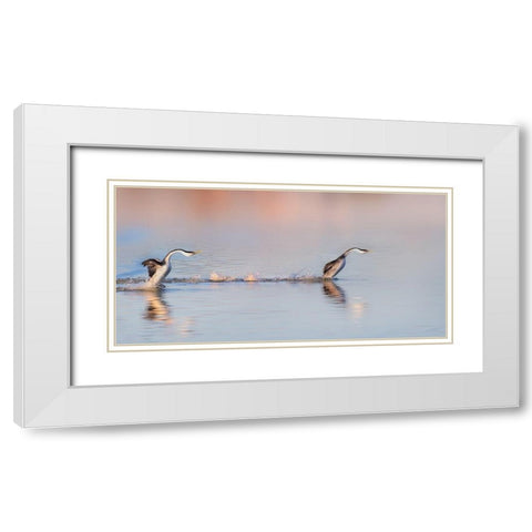 Chase After White Modern Wood Framed Art Print with Double Matting by Chang, Phillip