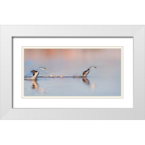 Chase After White Modern Wood Framed Art Print with Double Matting by Chang, Phillip