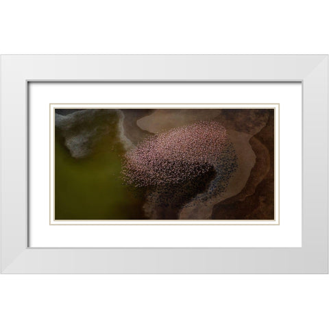 Beautiful flower White Modern Wood Framed Art Print with Double Matting by Chang, Phillip