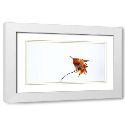 Little bird White Modern Wood Framed Art Print with Double Matting by Chang, Phillip