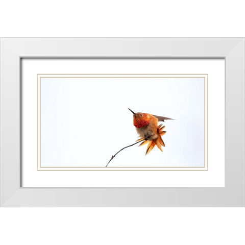 Little bird White Modern Wood Framed Art Print with Double Matting by Chang, Phillip