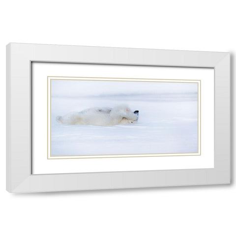 Shy White Modern Wood Framed Art Print with Double Matting by Chang, Phillip