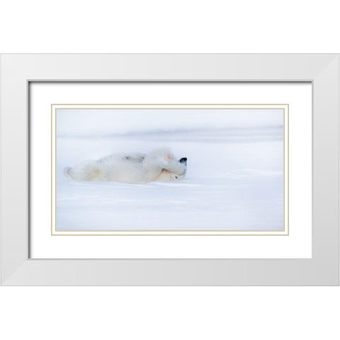 Shy White Modern Wood Framed Art Print with Double Matting by Chang, Phillip