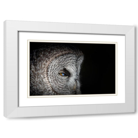Never mind White Modern Wood Framed Art Print with Double Matting by Chang, Phillip