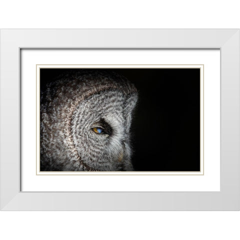 Never mind White Modern Wood Framed Art Print with Double Matting by Chang, Phillip