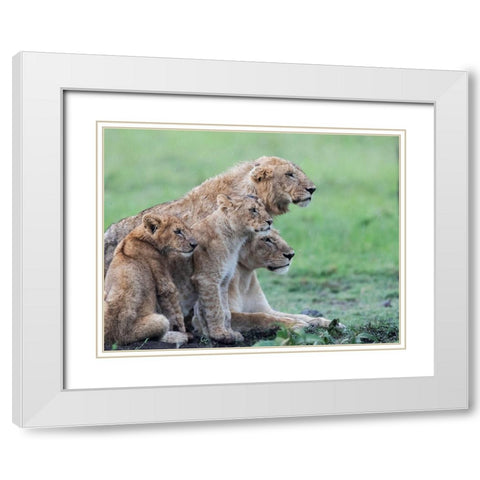 In the rain White Modern Wood Framed Art Print with Double Matting by Chang, Phillip