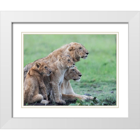 In the rain White Modern Wood Framed Art Print with Double Matting by Chang, Phillip