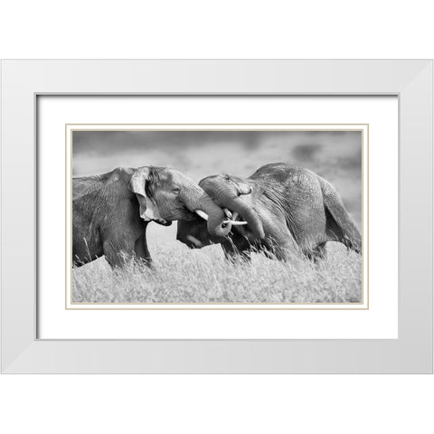 So Powerful White Modern Wood Framed Art Print with Double Matting by Chang, Phillip