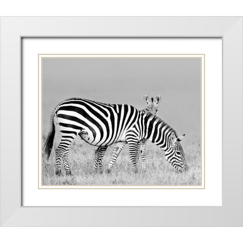 Baby and Mom White Modern Wood Framed Art Print with Double Matting by Chang, Phillip