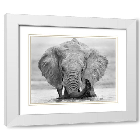 How are you White Modern Wood Framed Art Print with Double Matting by Chang, Phillip