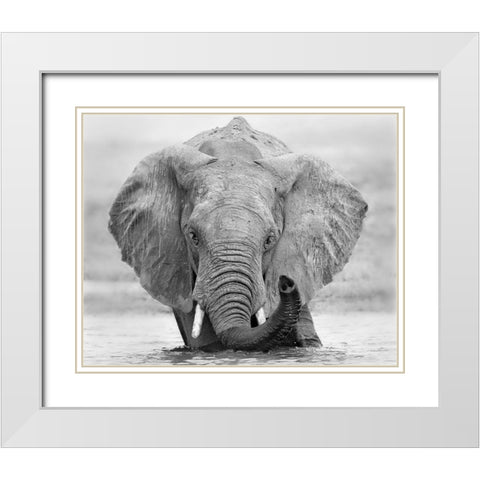 How are you White Modern Wood Framed Art Print with Double Matting by Chang, Phillip