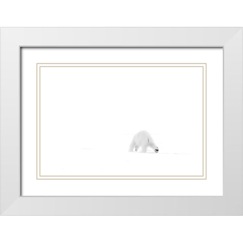 Looking for food White Modern Wood Framed Art Print with Double Matting by Chang, Phillip