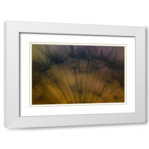 Taste of spring White Modern Wood Framed Art Print with Double Matting by Siegers, Ricky
