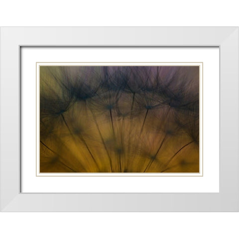 Taste of spring White Modern Wood Framed Art Print with Double Matting by Siegers, Ricky