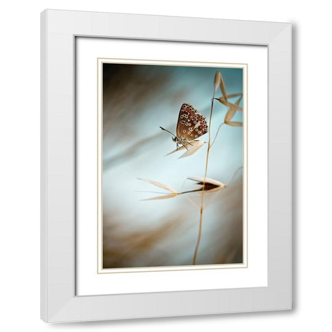 Dream in blue White Modern Wood Framed Art Print with Double Matting by Bravin, Fabien