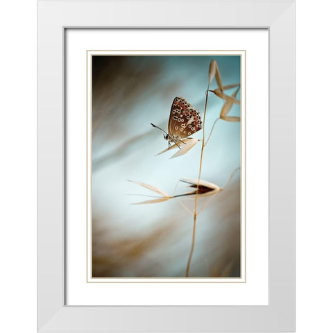 Dream in blue White Modern Wood Framed Art Print with Double Matting by Bravin, Fabien