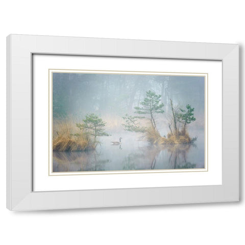 Hide and Seek White Modern Wood Framed Art Print with Double Matting by George, Andrew