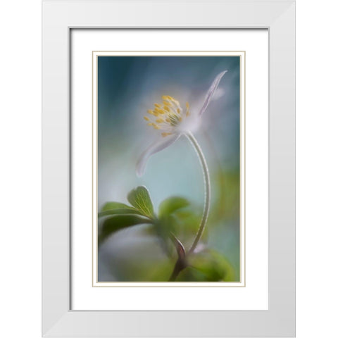 Springtime White Modern Wood Framed Art Print with Double Matting by Westum, Heidi