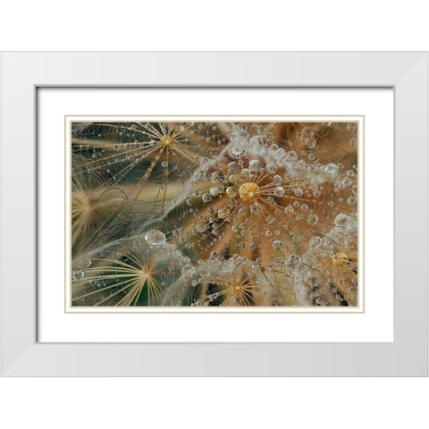 Starless White Modern Wood Framed Art Print with Double Matting by Filosofo, El