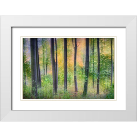Dreamy White Modern Wood Framed Art Print with Double Matting by Jochen, Burger