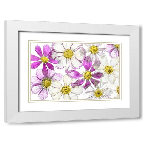 Keeping Summer White Modern Wood Framed Art Print with Double Matting by Disher, Mandy