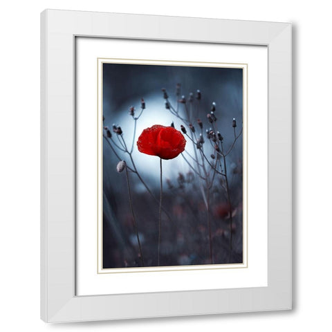 Flower not by kenzo. By me White Modern Wood Framed Art Print with Double Matting by Bravin, Fabien
