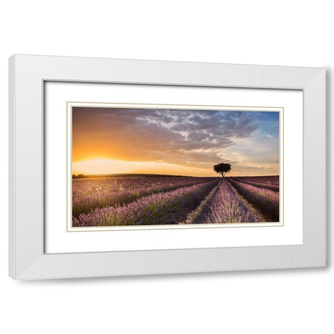 DESTINATION LAVENDER White Modern Wood Framed Art Print with Double Matting by Ros, Fran