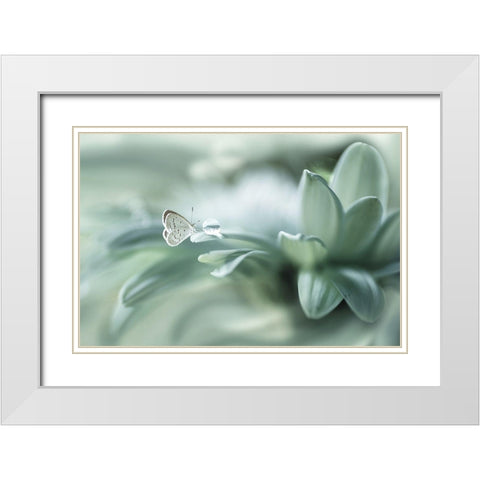 Bola ajaib White Modern Wood Framed Art Print with Double Matting by Setiawan, Arief