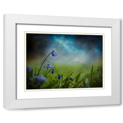 After the spring rain White Modern Wood Framed Art Print with Double Matting by Kvarnstrom, Asmund