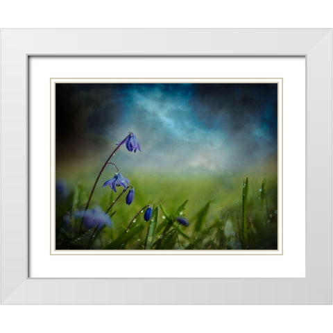 After the spring rain White Modern Wood Framed Art Print with Double Matting by Kvarnstrom, Asmund