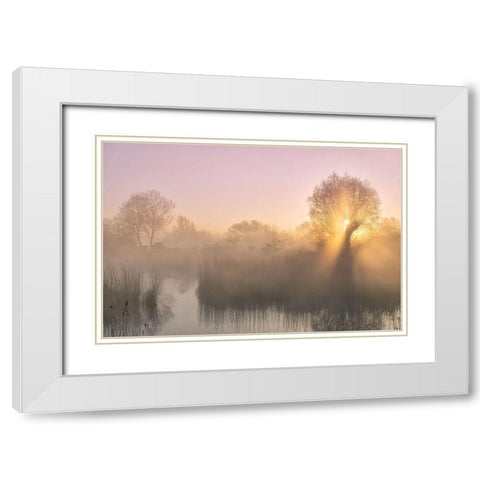 Silence White Modern Wood Framed Art Print with Double Matting by Borggreve, Ellen
