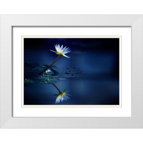Reflection White Modern Wood Framed Art Print with Double Matting by Suzuki, Takashi