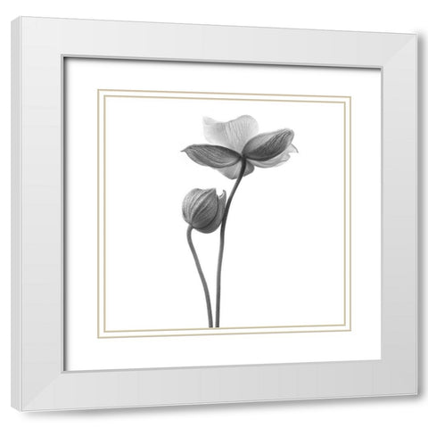 A little touch White Modern Wood Framed Art Print with Double Matting by Gronkjar, Lotte
