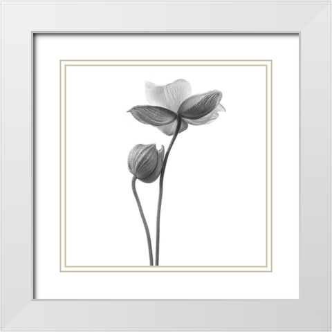 A little touch White Modern Wood Framed Art Print with Double Matting by Gronkjar, Lotte