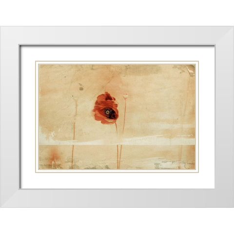 fragment White Modern Wood Framed Art Print with Double Matting by Ignatova, Desislava