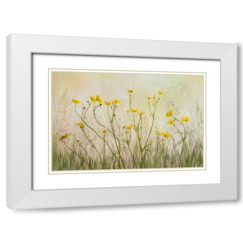 Good morning White Modern Wood Framed Art Print with Double Matting by Talen, Nel